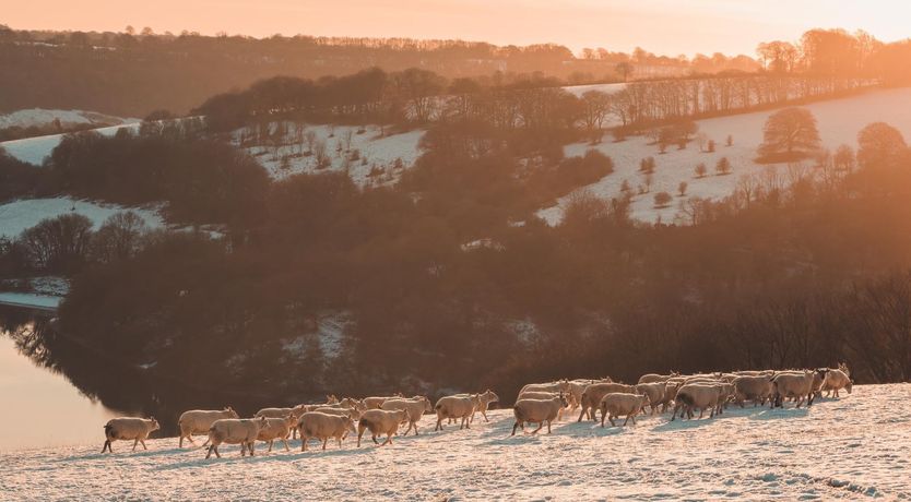 Photo of Little House in the Big Woods, Brendon Hill
