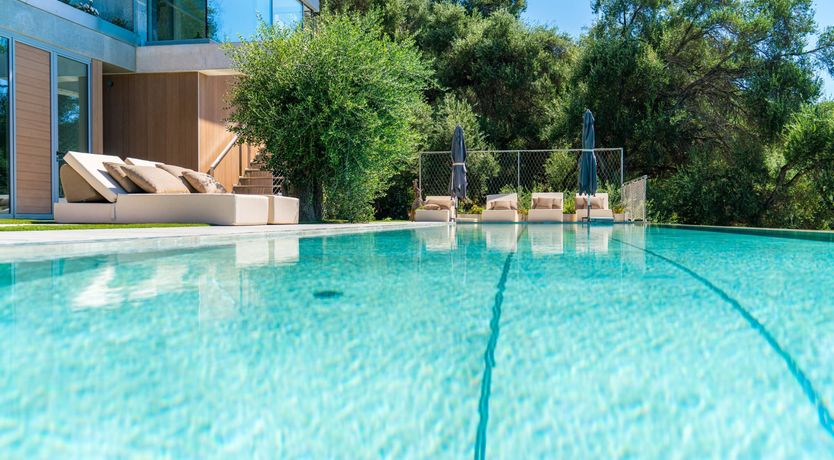 Photo of Golden Sympathy