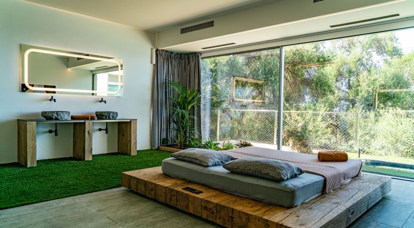 Photo of Golden Sympathy