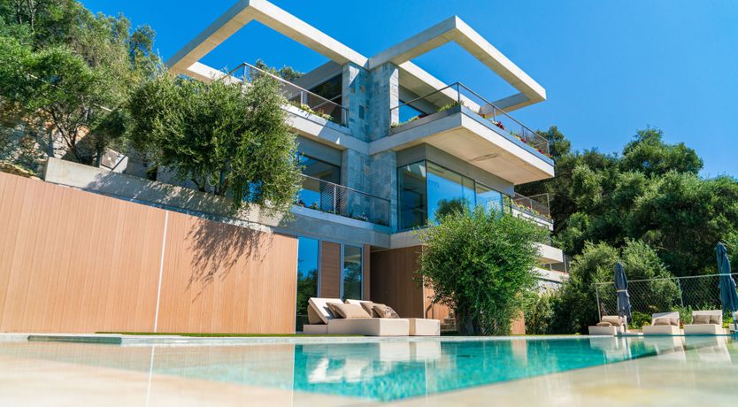 Photo of Golden Sympathy