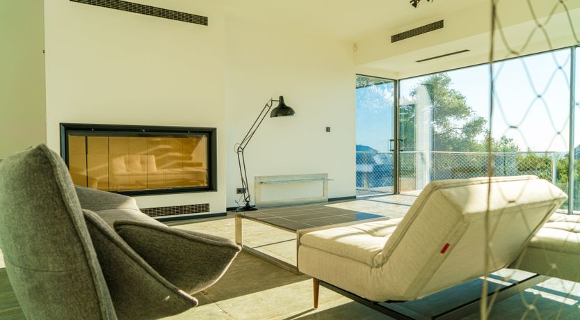 Photo of Golden Sympathy