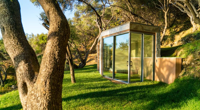 Photo of Golden Sympathy