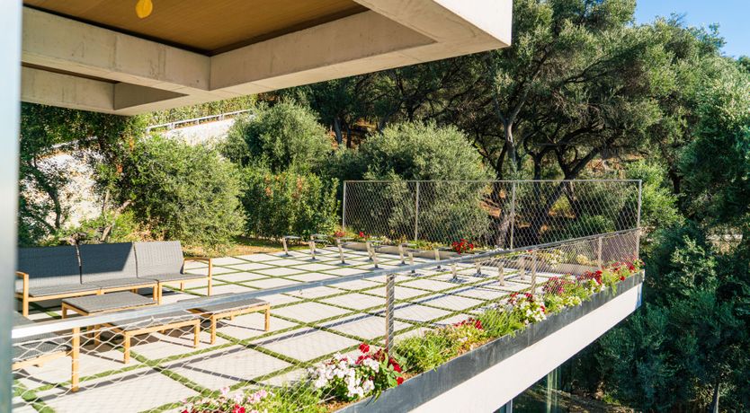 Photo of Golden Sympathy