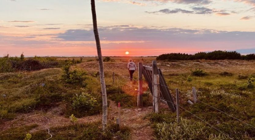 Photo of "Blakke" - 200m from the sea