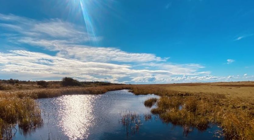 Photo of "Blakke" - 200m from the sea
