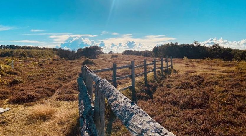 Photo of "Blakke" - 200m from the sea