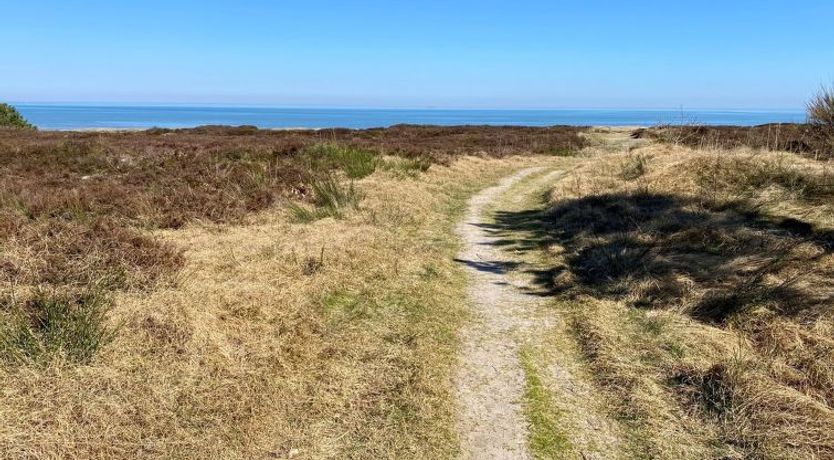 Photo of "Ilenia" - 150m from the sea