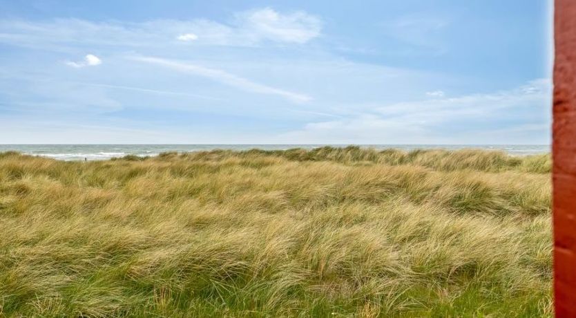 Photo of "Nikoletta" - 50m from the sea