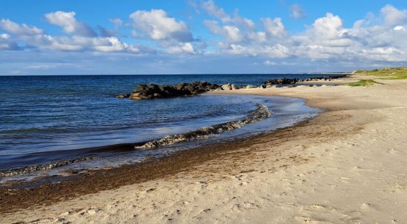 Photo of "Falk" - 900m from the sea