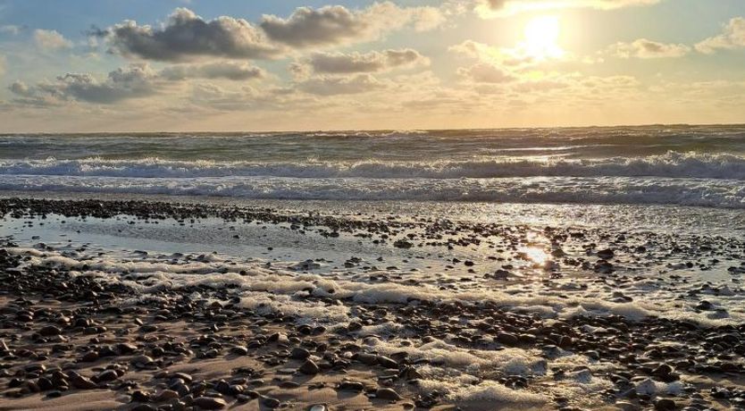 Photo of "Falk" - 900m from the sea