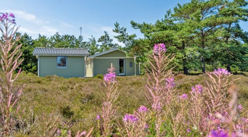 Photo of "Alwine" - 250m from the sea