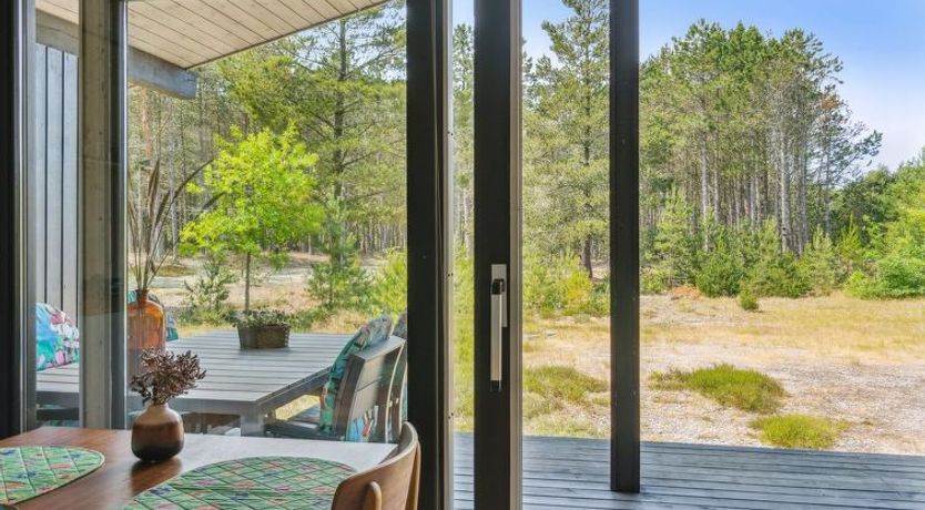 Photo of "Andy" - 600m from the sea