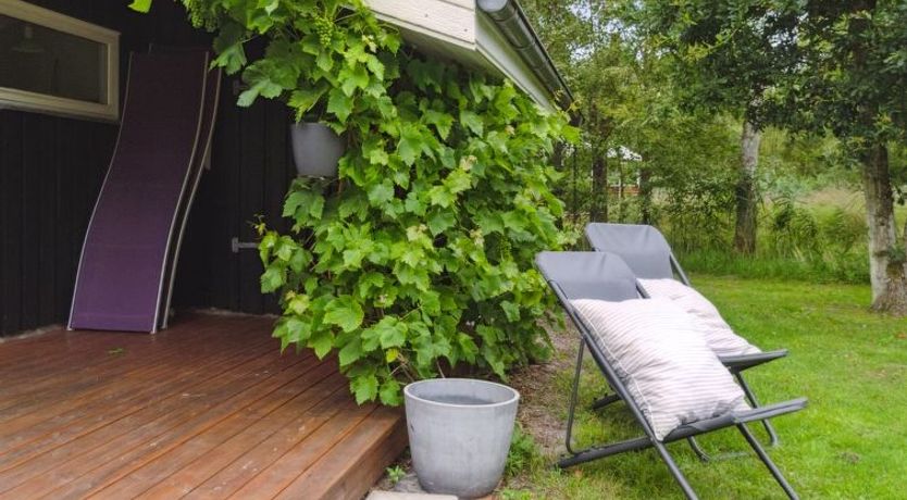 Photo of "Alkmar" -  from the sea