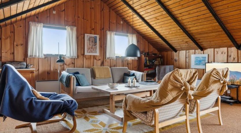 Photo of "Henri" - 500m from the sea