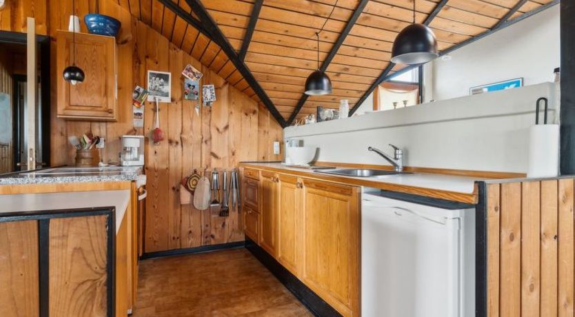 Photo of "Henri" - 500m from the sea