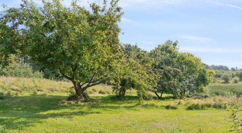 Photo of "Guthbrand" - 800m from the sea