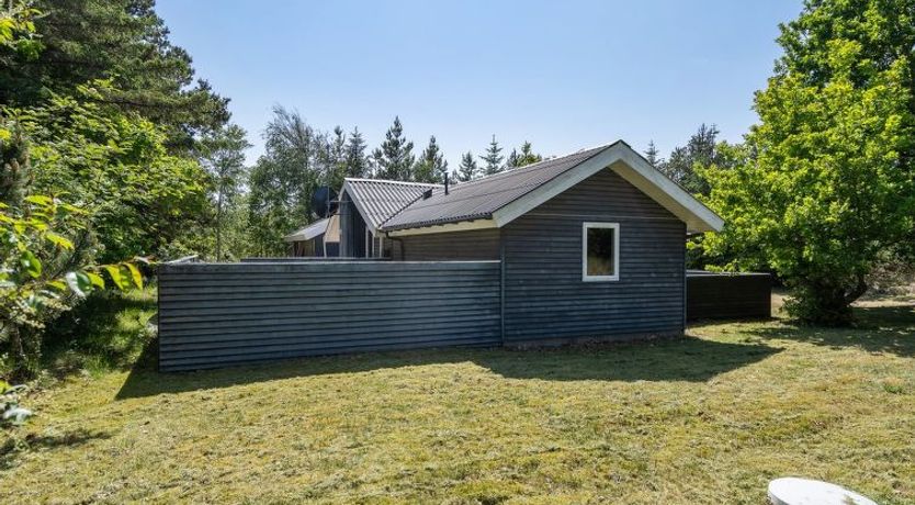 Photo of "Aneline" - 700m from the sea