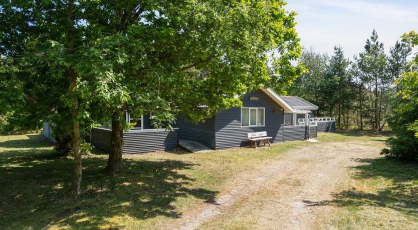 Photo of "Aneline" - 700m from the sea