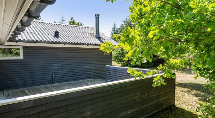 Photo of "Aneline" - 700m from the sea