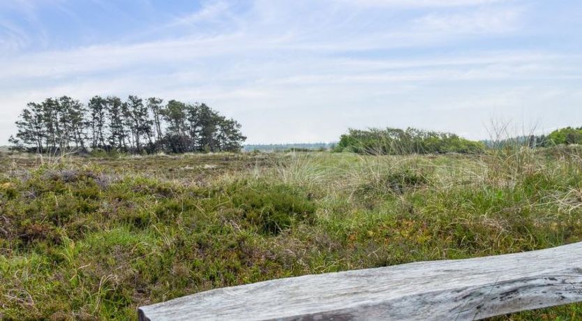 Photo of "Myrte" - 900m from the sea