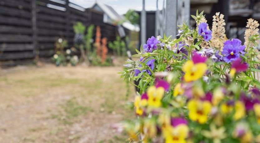 Photo of "Tjarven" - 300m from the sea