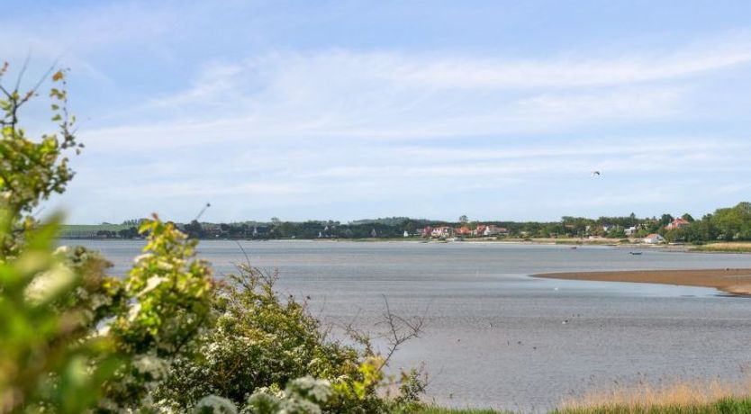 Photo of "Swaantje" - 150m to the fjord