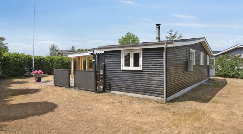 Photo of "Sari" - 250m from the sea