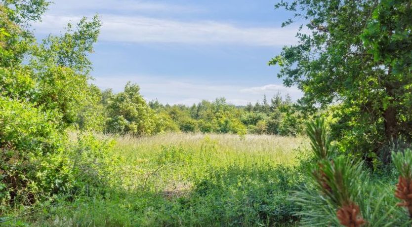 Photo of "Nadia" - 300m to the fjord