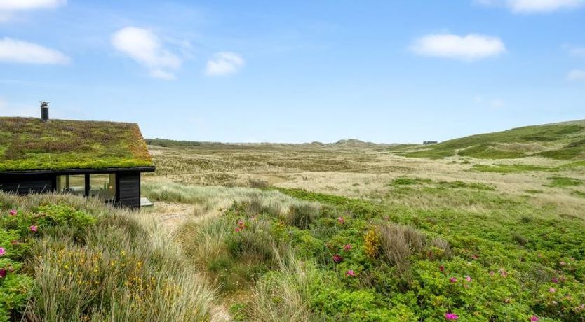 Photo of "Apolina" -  from the sea