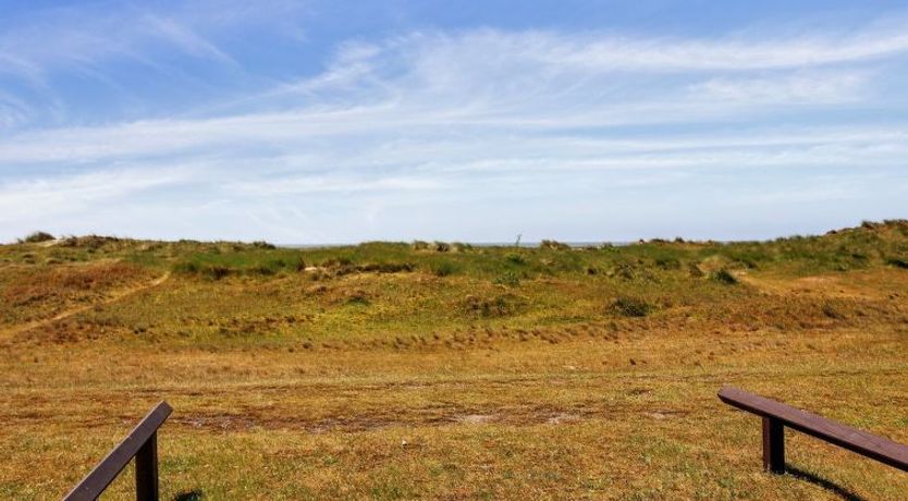 Photo of "Eske" - 50m from the sea