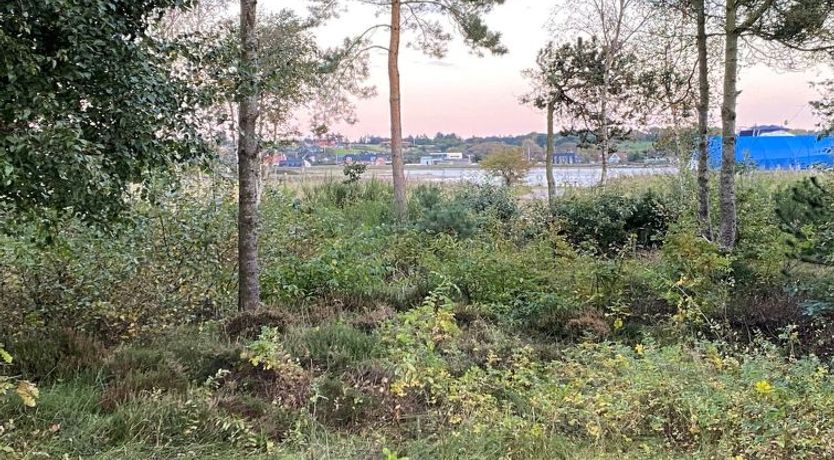 Photo of "Bosi" - 100m to the fjord