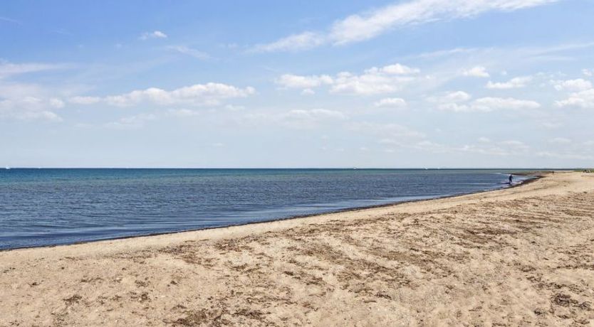 Photo of "Ika" - 450m from the sea