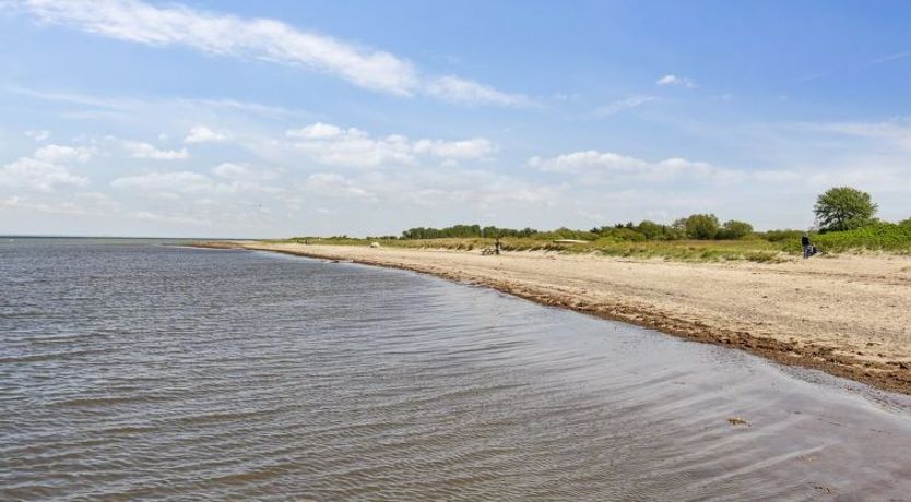 Photo of "Ika" - 450m from the sea