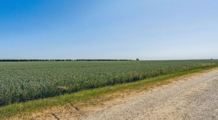 Photo of "Anella" - 200m from the sea