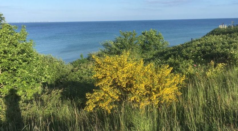 Photo of "Rikus" - 300m from the sea