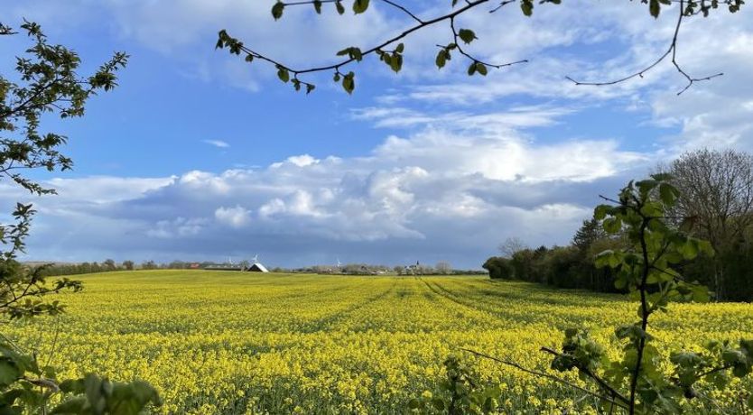 Photo of "Elvin" - 2.7km from the sea