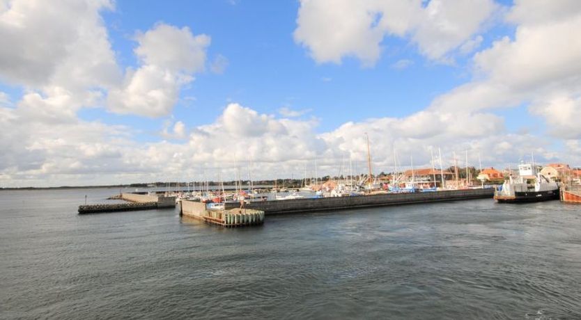 Photo of "Ewy" - 150m to the fjord