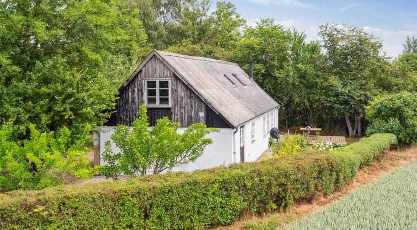 Photo of "Finja" - 6km from the sea