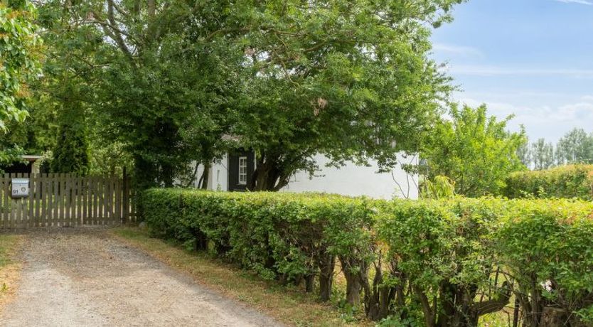 Photo of "Finja" - 6km from the sea