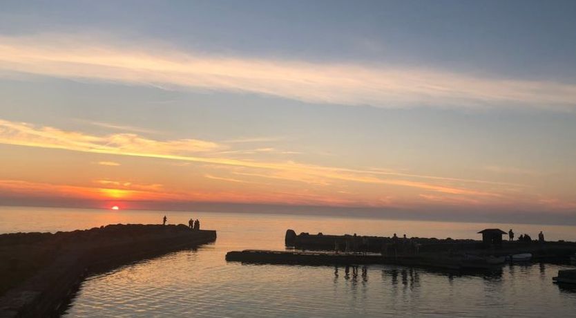 Photo of "Scarlet" - 5m from the sea