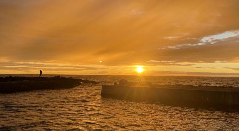 Photo of "Scarlet" - 5m from the sea