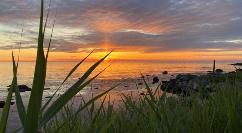 Photo of "Scarlet" - 5m from the sea