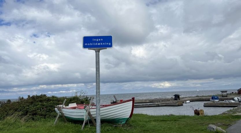 Photo of "Scarlet" - 5m from the sea