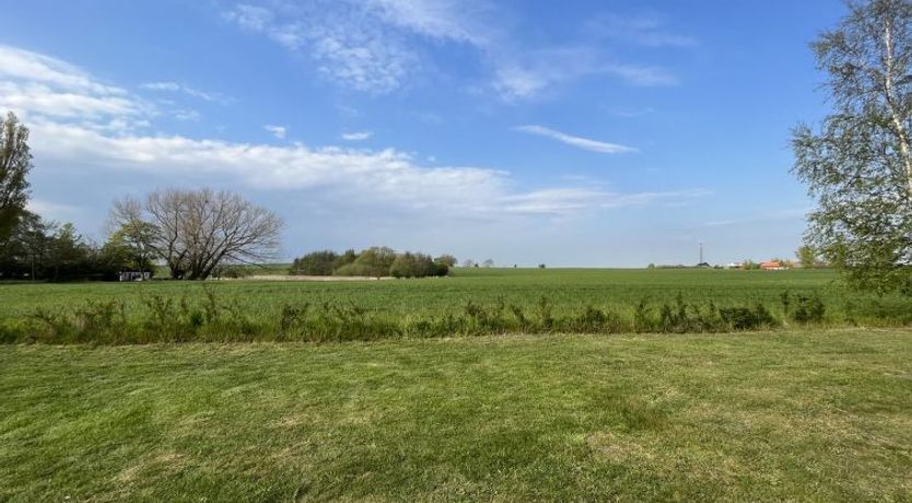 Photo of "Janna" - 75m from the sea