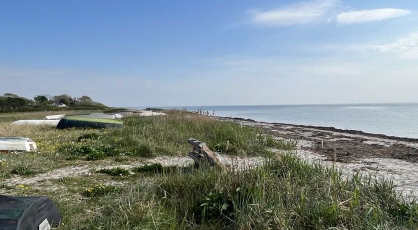 Photo of "Janna" - 75m from the sea