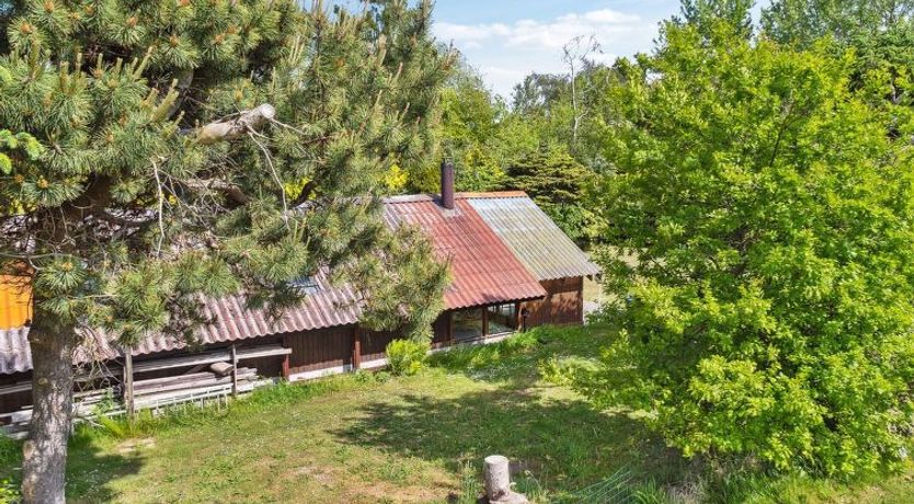 Photo of "Konrad" - 700m from the sea