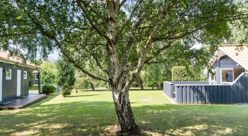 Photo of "Dorti" - 725m from the sea