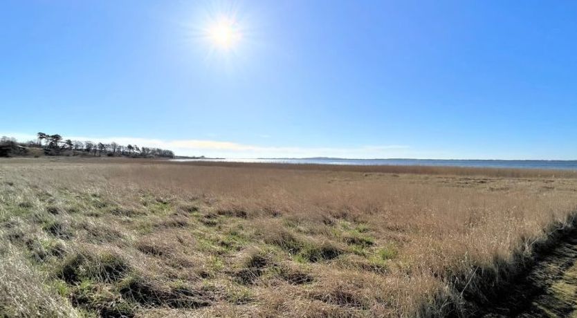 Photo of "Vemund" - 100m to the fjord