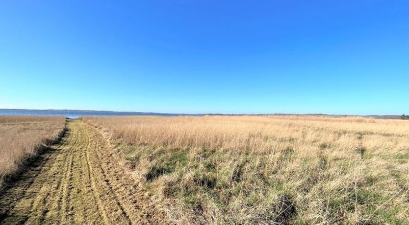 Photo of "Vemund" - 100m to the fjord