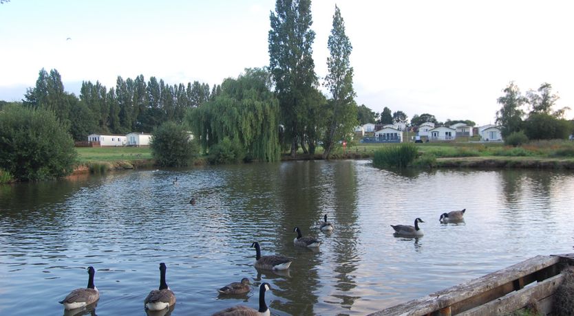 Photo of Clover villa 103 